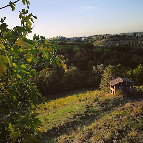 B&B Il Poggio