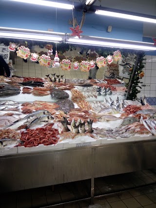 Pescheria Sagliocco Salvatore & Figli