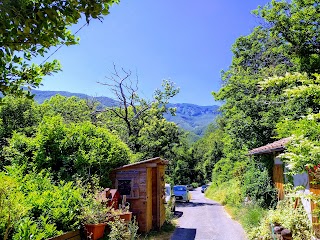 IL Contadino Orsigna Casa Vacanze