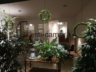 Anti-camera