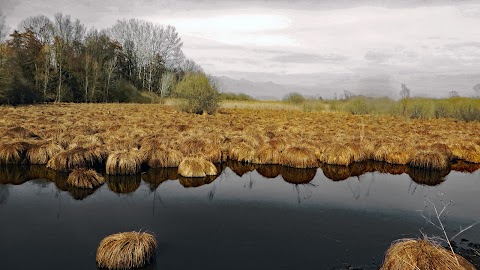 Centro Visita del Parco Naturale del Lago di Candia