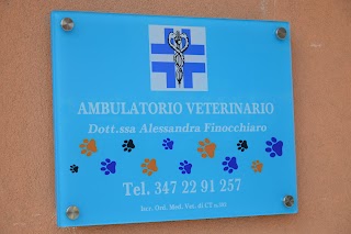 Ambulatorio Veterinario Finocchiaro Dott.ssa Alessandra