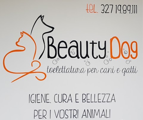 Beauty Dog - toelettatura di Galeotti Daniele