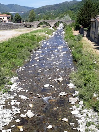 Farfalle in Cammino