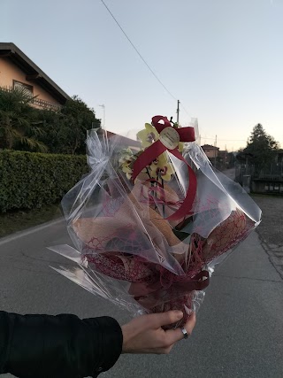 Chiccofiori Di Piantanida Annalisa