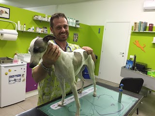 Ambulatorio Veterinario Dr Iotti Marcello