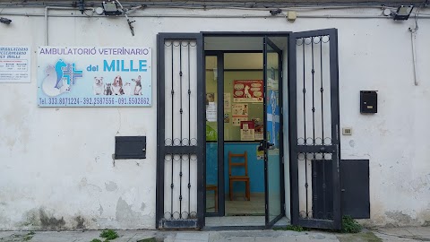 Ambulatorio veterinario dei mille