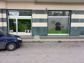 Centro Veterinario Città di Barletta