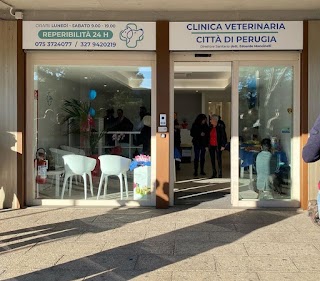 Clinica Veterinaria Città di Perugia