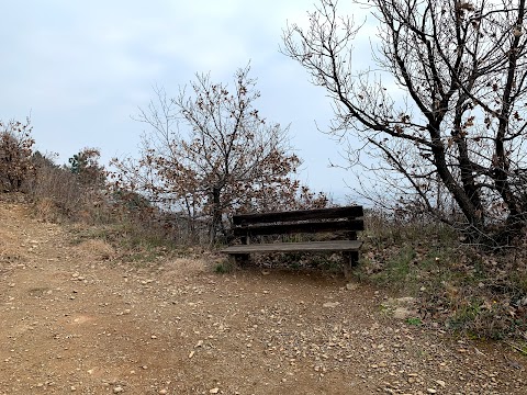 Parco Naturale del Monte San Giorgio