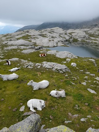 Lago di Vercellina