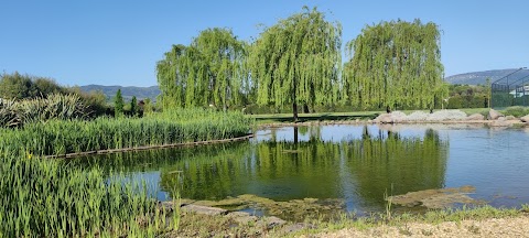 Pistoia Nursery Campus