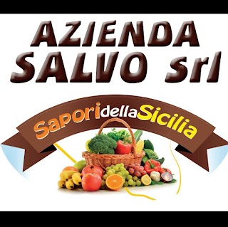 Azienda Salvo Srl