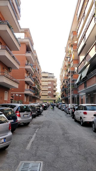 Istituto Scolastico Archimede 3000 - Diploma Sicuro