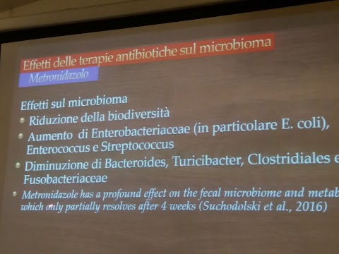 "La Fiorita" - Scuola dell'Infanzia paritaria e asilo nido