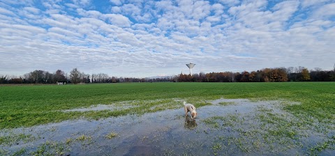 Parco dell'acqua