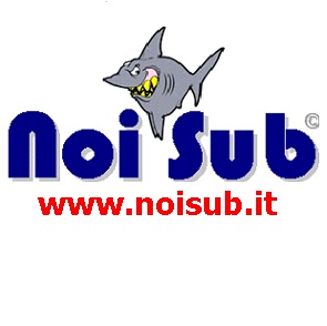 Noi Sub Chivasso - Associazione Sportiva e Scuola di Subacquea