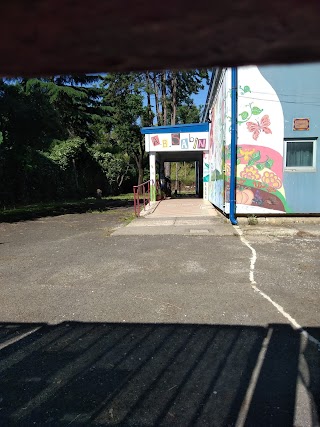 Scuola dell'Infanzia Statale "Albert Bruce Sabin"