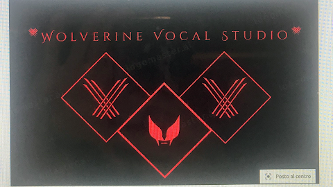 GABRIELE GOZZI\WOLVERINE VOCAL STUDIO (Insegnante di canto Moderno ed Estremo)