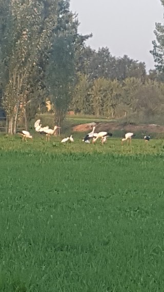 Fattoria Didattica La Meridiana