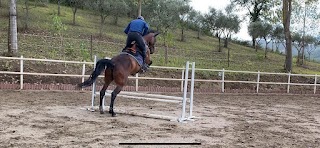 A S.S.E. Accademia Sannita Sport Equestri