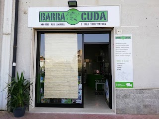 Barracuda Store Caltagirone