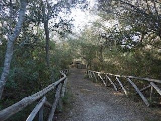 Bosco dei Cuturi