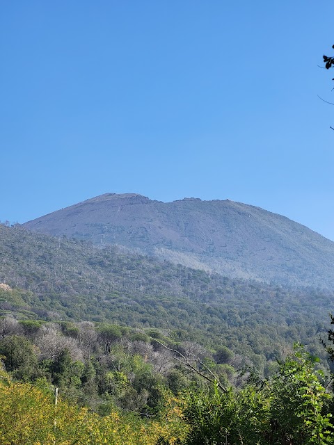 Associazione Vesuvio Natura da Esplorare