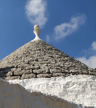 Trullo la gatta felice