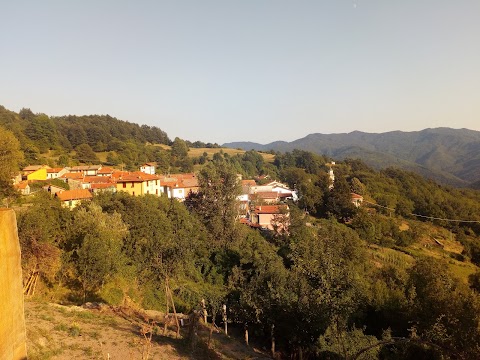 Azienda Agricola Spallarossa Silvia