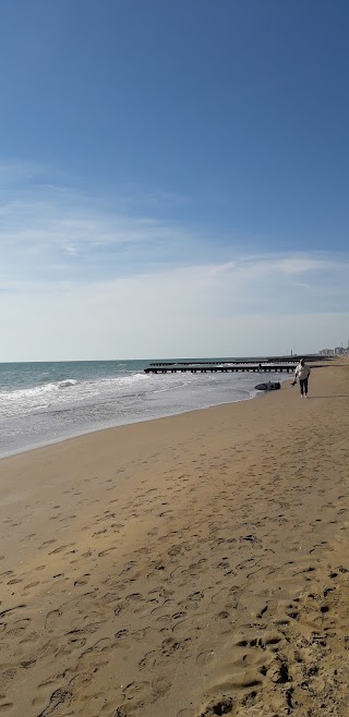 Bar Sulla Spiaggia