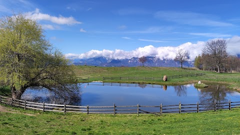 Parco Naturale Monte Corno