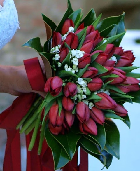 GIARDINI TOSCANI - fioraio, piante e fiori per cerimonie e matrimoni, vivaio