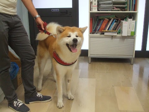 Studio Veterinario Associato Pacini - Dalla Torre