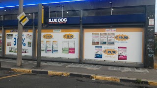 Blue Dog