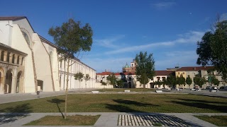 Università del Piemonte Orientale - Dipartimento di Scienze e Innovazione Tecnologica - Alessandria