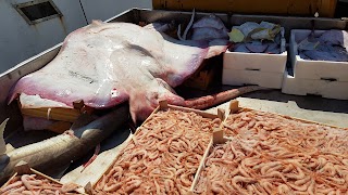 Mercato Del Pesce