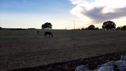 Masseria Chianca - Le rose