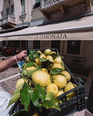 Gelateria La Limonaia