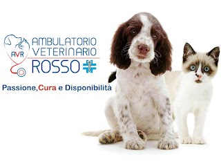 AMBULATORIO VETERINARIO ROSSO