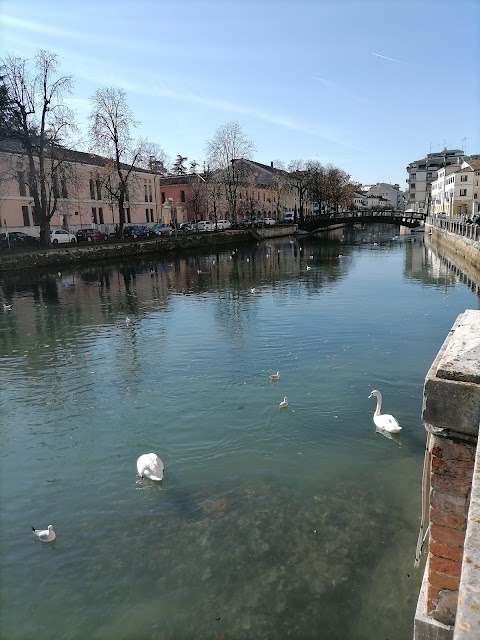 Ponte dell'Università