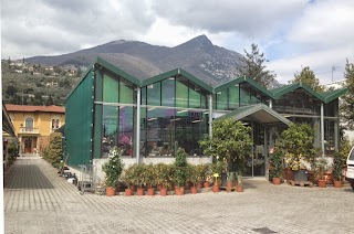 Azienda Agricola Chimini Nicola