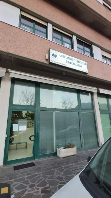 Ambulatorio Veterinario della Berzantina - Dr. Gualtieri P.- Dr. Bartoli P .- Dr. Govoni M.