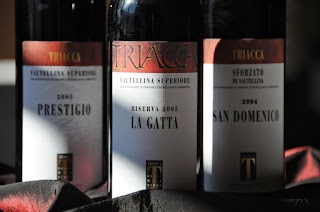 Casa Vinicola Triacca