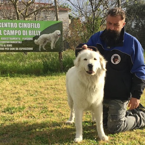 Il Campo Di Billy Centro Cinofilo