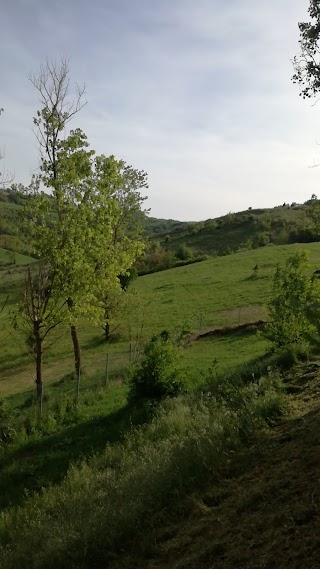 Podere la Galassa Rifugio Zannabianca x (cani).