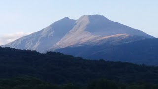 Gusto e freschezza di Parfenie Elena