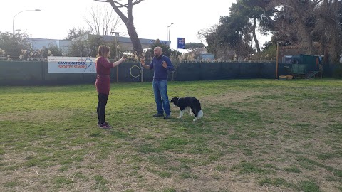 LiberaMente Dog Camp ASD