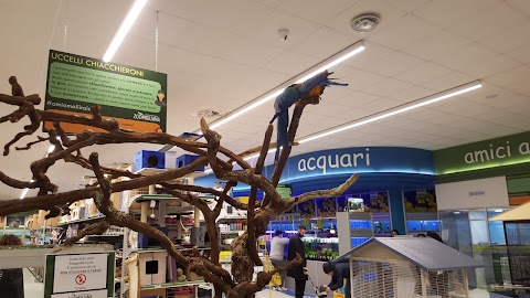 Zoomiguana Il Megastore Degli Animali