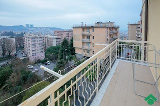 Affiliato Tecnocasa R.R. Immobiliare